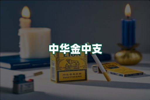 中华金中支